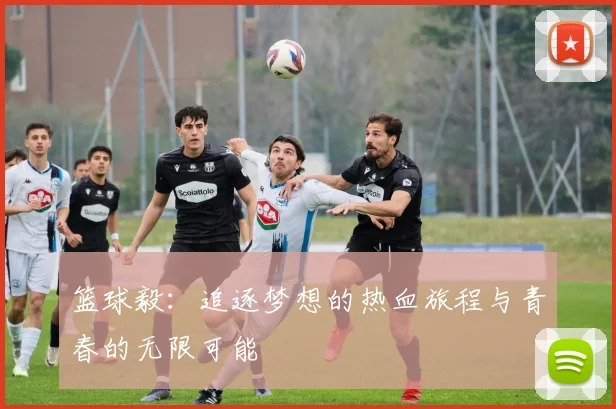 篮球毅：追逐梦想的热血旅程与青春的无限可能