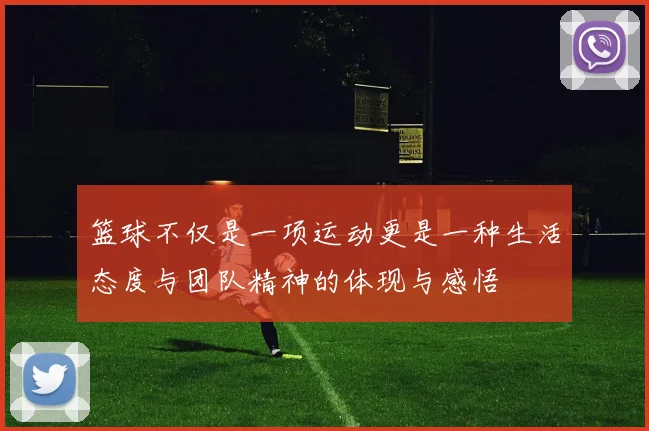篮球不仅是一项运动更是一种生活态度与团队精神的体现与感悟